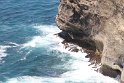 IMG_8920