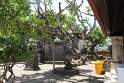 IMG_8938