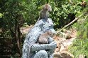 IMG_8953