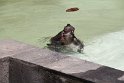 IMG_8955