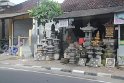 IMG_8981