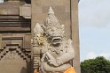 IMG_8987