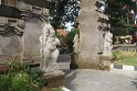IMG_8990