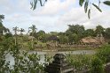 IMG_9006