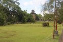 IMG_9011