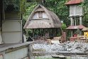 IMG_9023