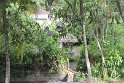 IMG_9034