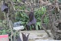 IMG_9053