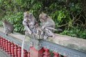 IMG_9056