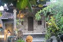 IMG_9071