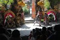 IMG_9097