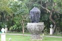 IMG_9128