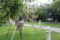 IMG_9129