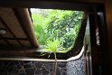 IMG_9194