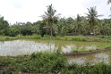 IMG_9217