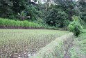 IMG_9219