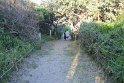 IMG_7090