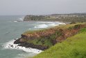 IMG_7136