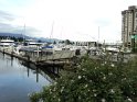 DSC00555