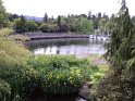 DSC00558