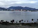 DSC00565