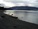 DSC00566