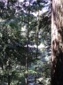 DSC00572