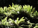DSC00583