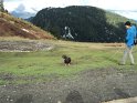 DSC00602