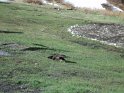 DSC00609