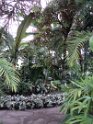DSC00620