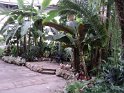 DSC00621