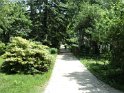 DSC00666
