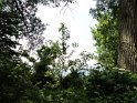 DSC00667