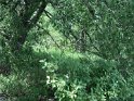 DSC00673