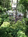 DSC00680