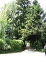 DSC00683