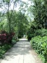 DSC00685