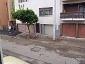 P5030067