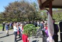 IMG_7210