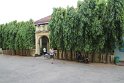 IMG_7367