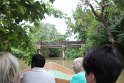 IMG_7410