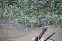 IMG_7426