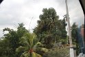 IMG_7458