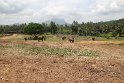 IMG_7468