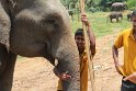 IMG_7469
