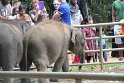 IMG_7485