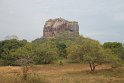 IMG_7532