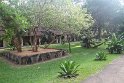 IMG_7538