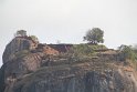 IMG_7551